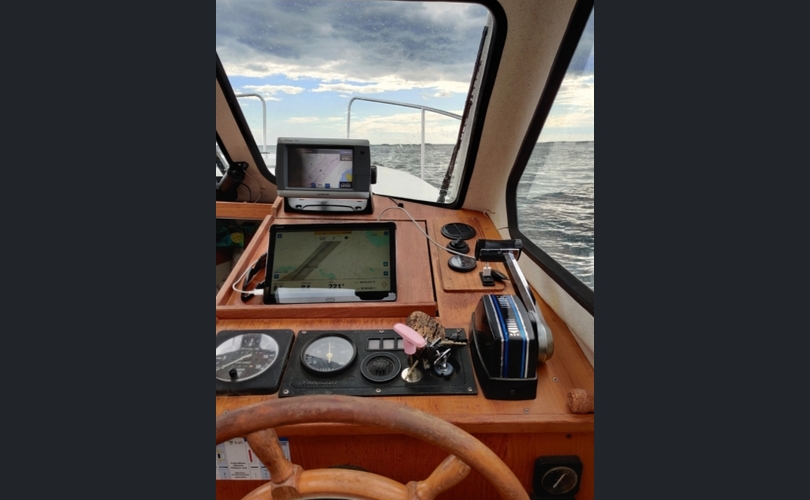 Albatross Flying 870-kuva-4